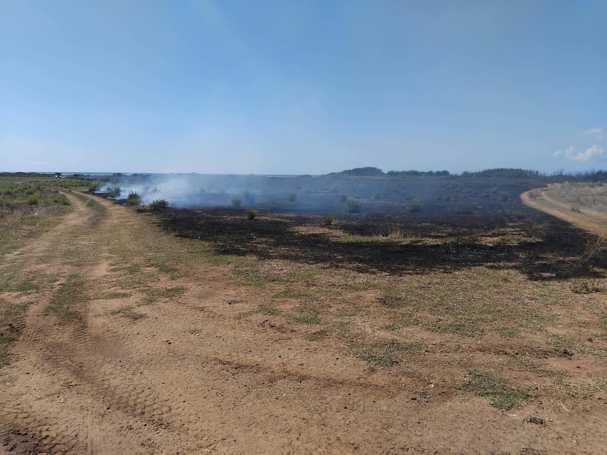 Tarquinia – Incendio sulla Litoranea: intervento di AEOPC e Vigili del fuoco a Spinicci