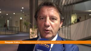 Germania, Tridico “Rispondere a Afd con un’Europa sociale più efficace”