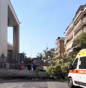 Albero cade su due studenti universitari a Cassino, ricoverati in ospedale