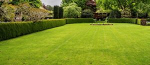 Si fingono giardinieri e con scuse inventate sottraggono denaro a donna di Bracciano, cinque denunciati