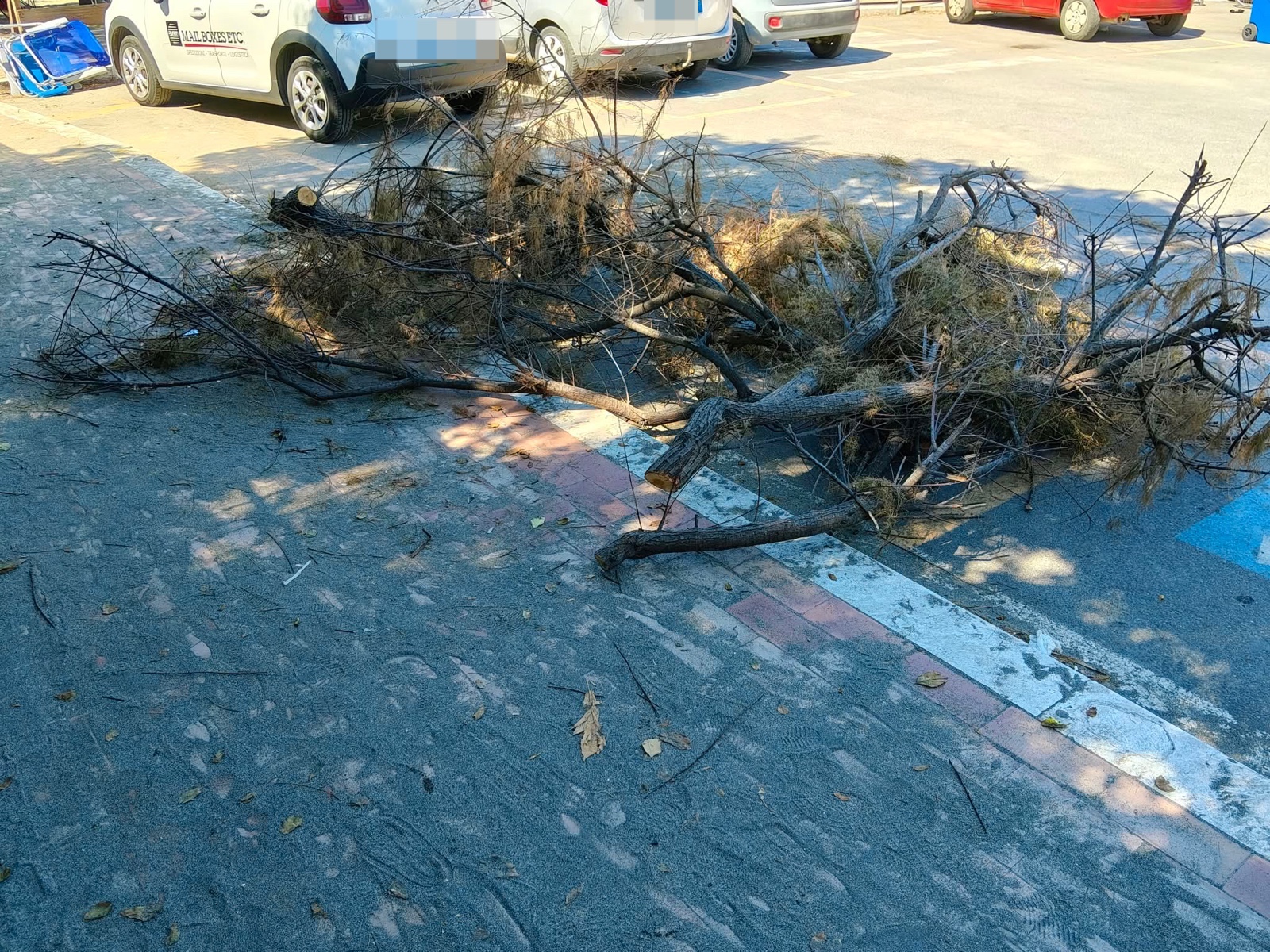 Tarquinia Lido – Rami abbandonati nel parcheggio per disabili: “Da una settimana nessuno li rimuove”