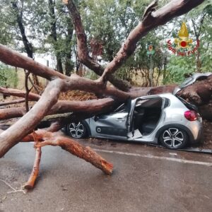 Roma sott’acqua, oltre 120 interventi dei vigili del fuoco: automobilisti salvati da auto distrutte dagli alberi (FOTO)