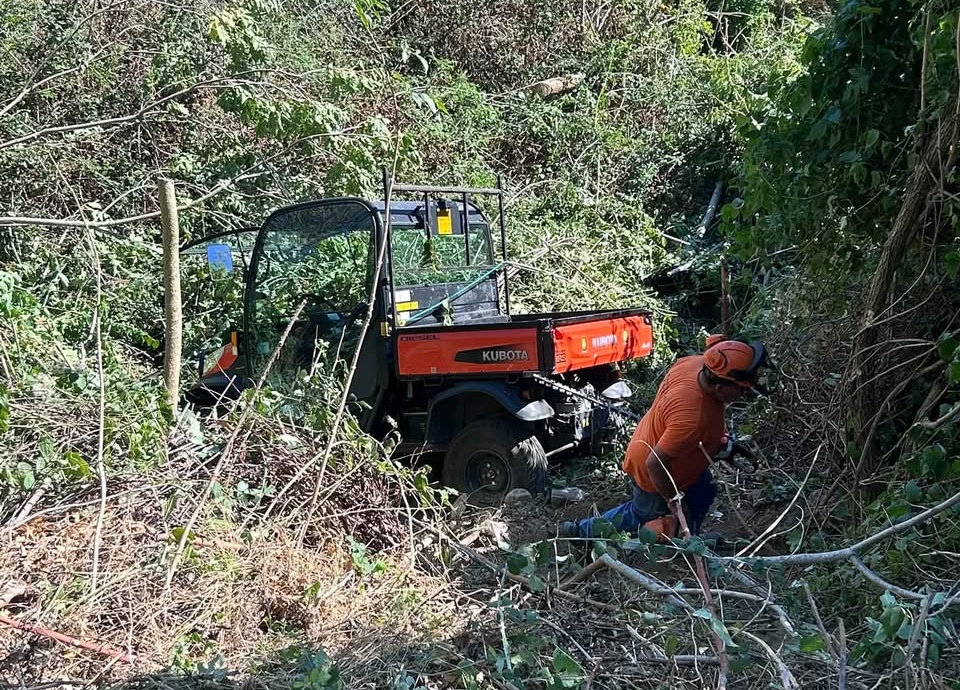 Bagnoregio – Mezzo comunale finisce in un dirupo (FOTO)