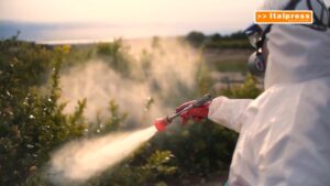 Pesticidi, allarme in Europa “A rischio salute e ambiente”