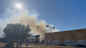 Incendio al Conca d’Oro di Palermo, in azione anche elicottero della Forestale