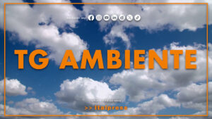 Tg Ambiente – 6/9/2026