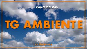 Tg Ambiente – 20/9/2026