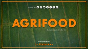 Agrifood Magazine – 16/9/2026