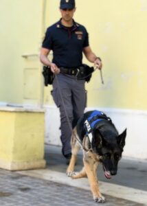 Roma – Cocaina custodita in cassaforte e nelle condotte dell’acqua: sei arresti e due chili di droga sequestrati