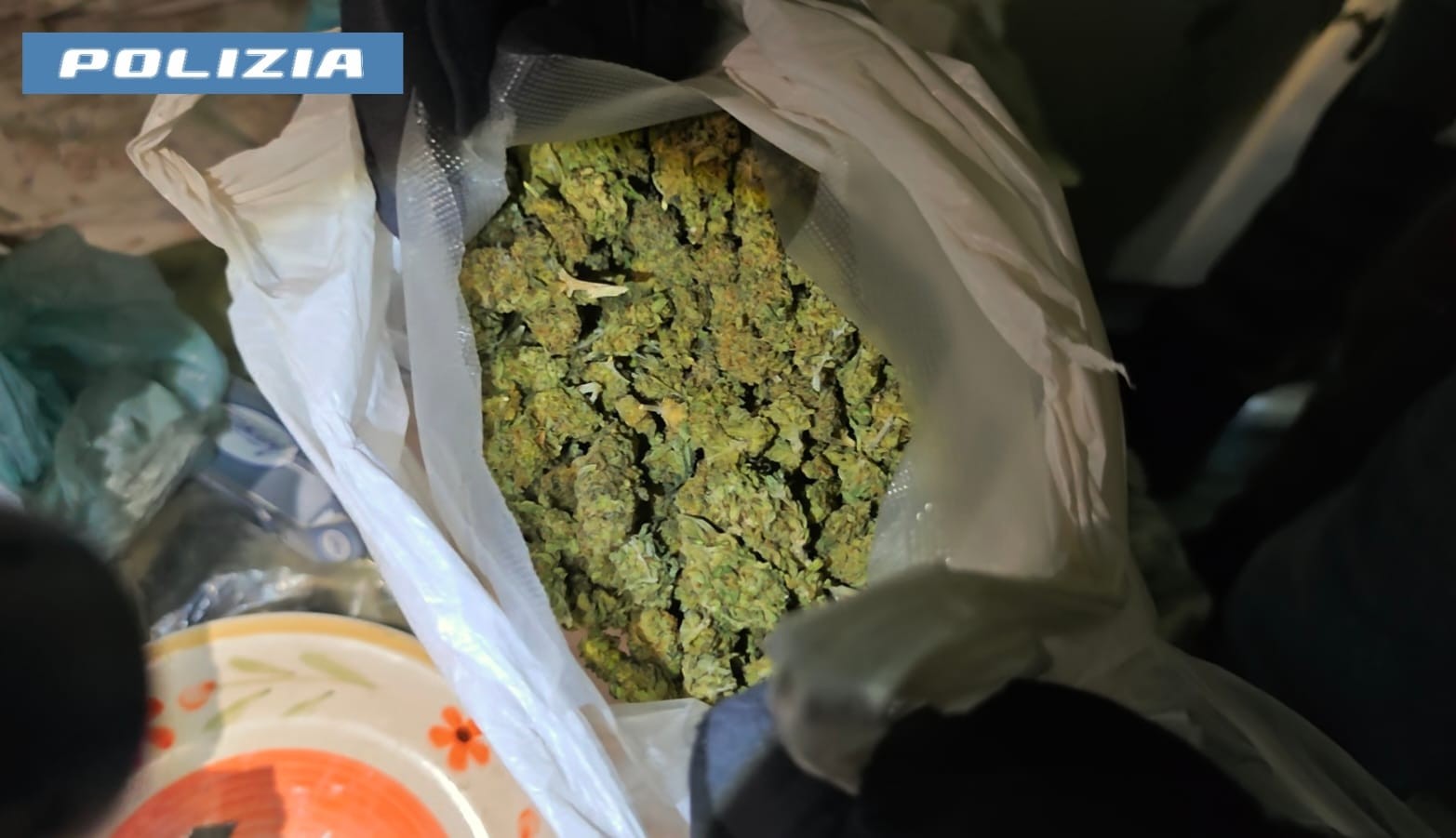 Roma – Tre rigogliose piante di marijuana di due metri nel giardino condominiale: arrestata una quarantacinquenne