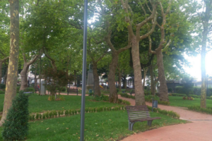 Prato Giardino, la sindaca di Montefiascone: «Notizie false sul divieto ai cani. I nuovi cartelli prevedono il loro ingresso»