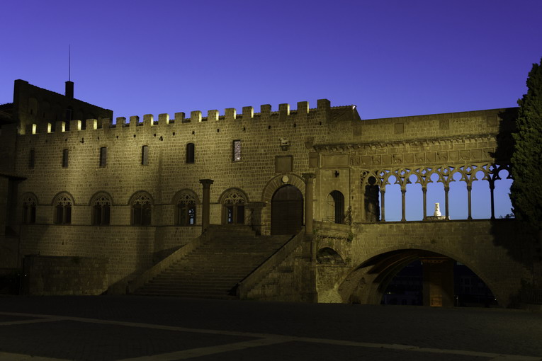 Giornata nazionale Sla, il Palazzo dei Papi di Viterbo si illumina di verde