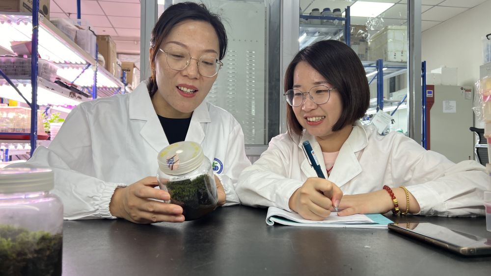 Cina, scoperta la pianta desertica “più resistente” anche nello spazio