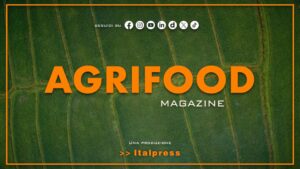 Agrifood Magazine – 28/10/2026