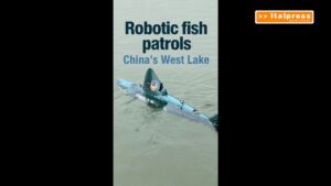 Cina, un pesce robot “sorveglia” il Lago Occidentale di Hangzhou