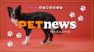 PetNews Magazine – 12/10/2026