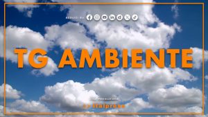 Tg Ambiente – 11/10/2026