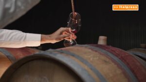 Vino, prezzi in calo ma costi alle stelle per le cantine