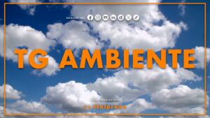 Tg Ambiente – 18/10/2026