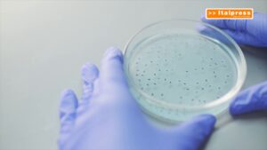 Nisticò (Aifa) “I farmaci sono sempre più innovativi e mirati”