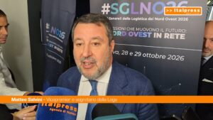 Salvini “Brutto segnale scarcerazione di Siher da giudice proPal”