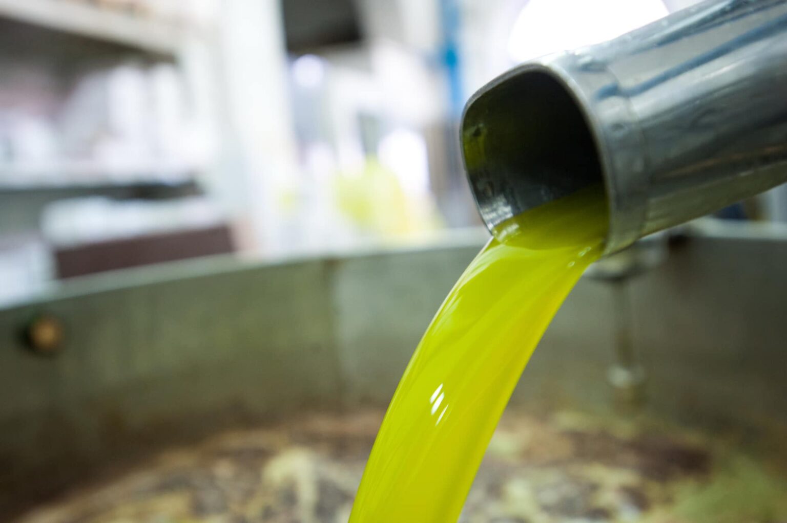 Masaf: doppio colpo alle frodi nel settore oleario: sequestrati in Toscana oltre 450 quintali di olio