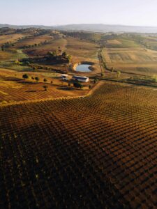 La Loacker sbarca a Capranica: acquisito terreno di 150 ettari