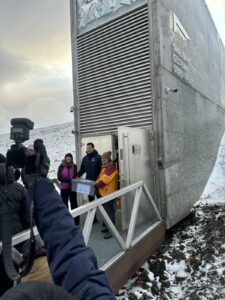 Il Crea porta 300 varietà di frumento nel caveau artico in Norvegia, c’è anche Strampelli