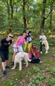 Montasola – Quattro cani maltrattati sotto sequestro affidati dal Comune ad “Adozioni del Cuore Rieti”: la sinergia tra istituzioni contro il randagismo