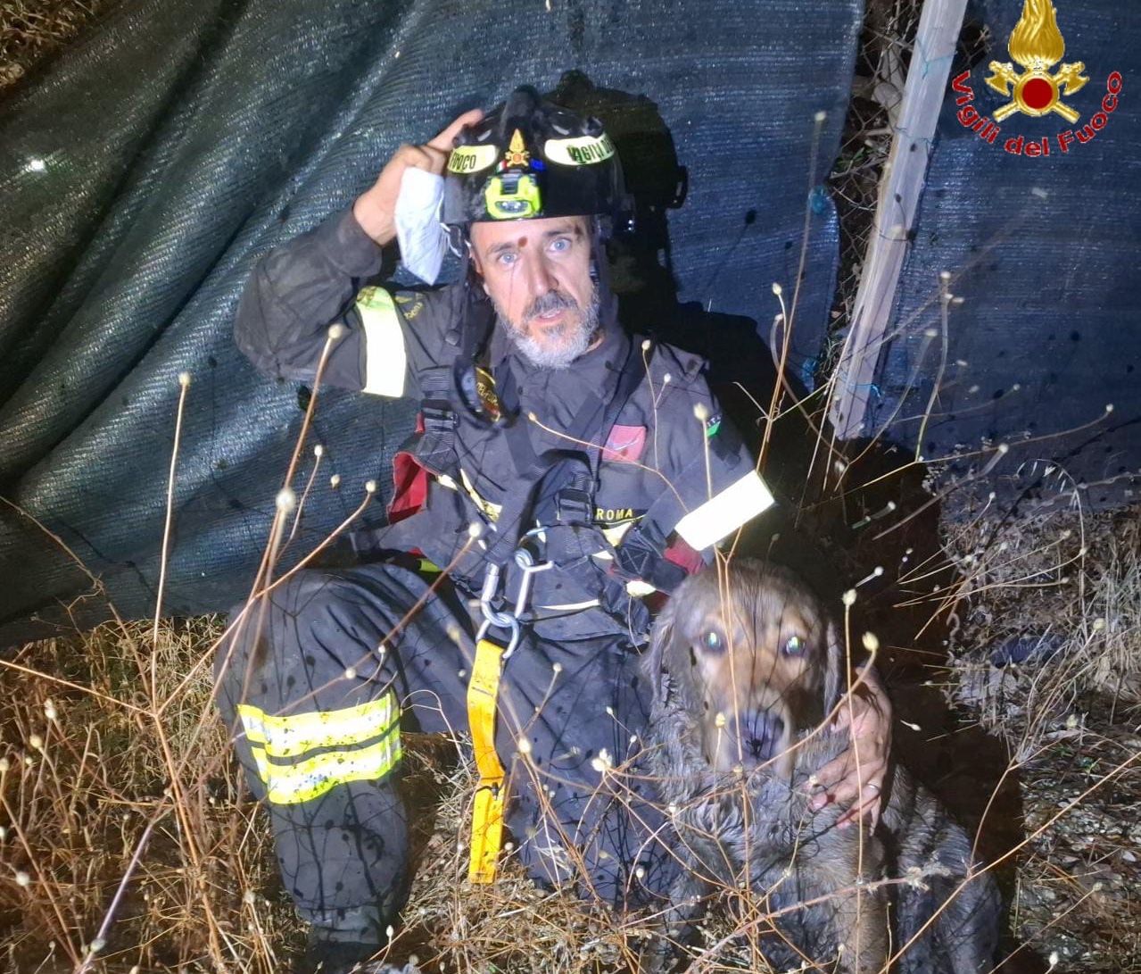 Civitavecchia – Cane cade in un pozzo profondo cinque metri: salvato dai Vigili del fuoco (FOTO)