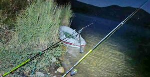 Pesca illecita e campeggio abusivo al lago di Vico, scattano sanzioni e attrezzature sequestrate