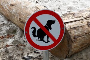 Tarquinia, tolleranza zero contro i padroni incivili: non raccoglie i bisogni del cane in via Umberto I, scatta la multa