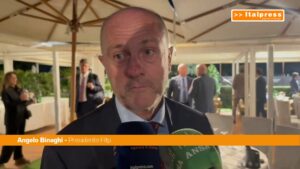 Figc, Binaghi “Commissario causa del commissariamento, Coni vale molto meno”