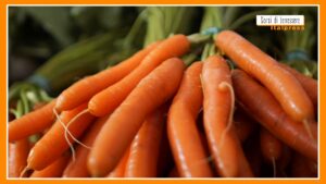 Sorsi di Benessere – Crema di carote e yogurt