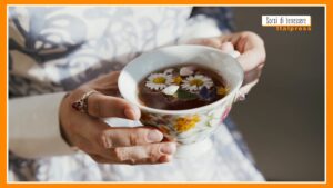Sorsi di Benessere – Come si prepara la tisana di fiori di sambuco e camomilla