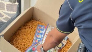 Roma – Controlli straordinari della Finanza nei minimarket con unità cinofile ed elicotteri: sequestrati 3 quintali di prodotti