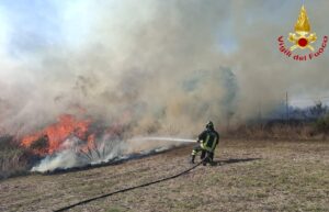 Civitavecchia, vasto incendio di sterpaglie in via Moneta