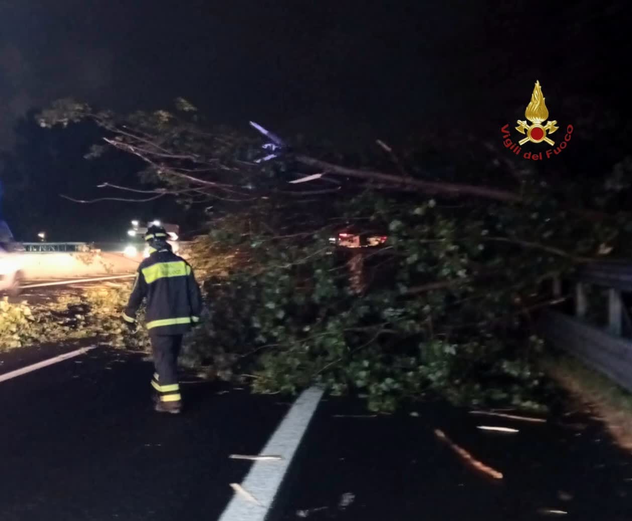 Roma sferzata dal maltempo, notte da incubo per la Capitale: 120 interventi dei Vigili del Fuoco, un albero schiaccia un’auto