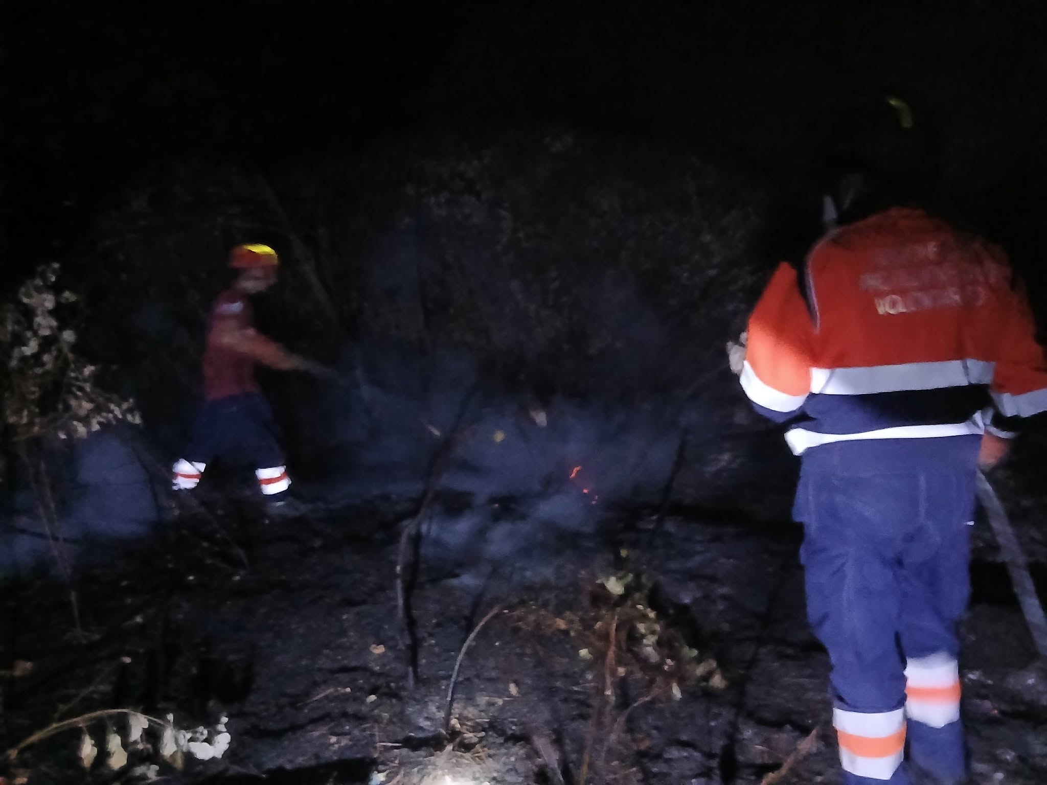 Incubo fiamme a Tarquinia, la pineta di San Giorgio brucia ancora: è il quarto rogo in una settimana