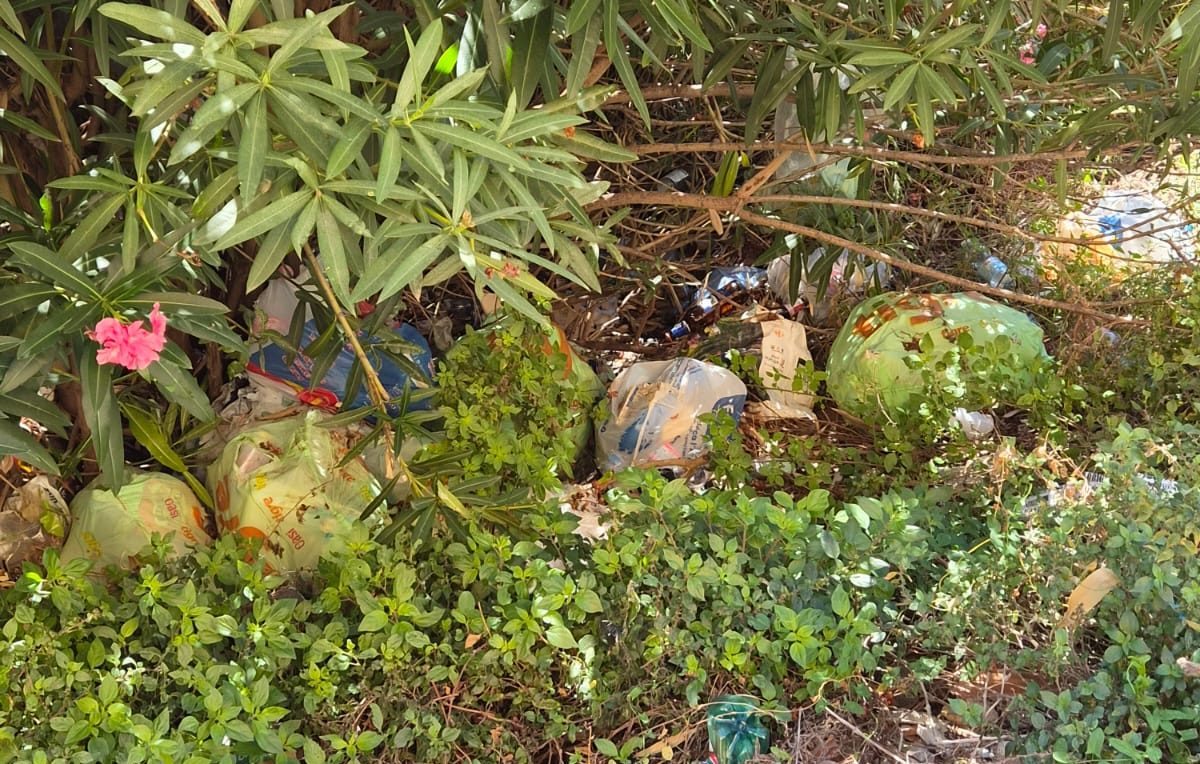 Sporcizia e materassi a terra, FdI: «Il centro storico di Viterbo non può presentarsi così»