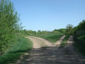 Alla Comunità Montana dei Cimini 25mila euro di finanziamento per le Strade Rurali: i primi lavori sul tratto Soriano-Canepina